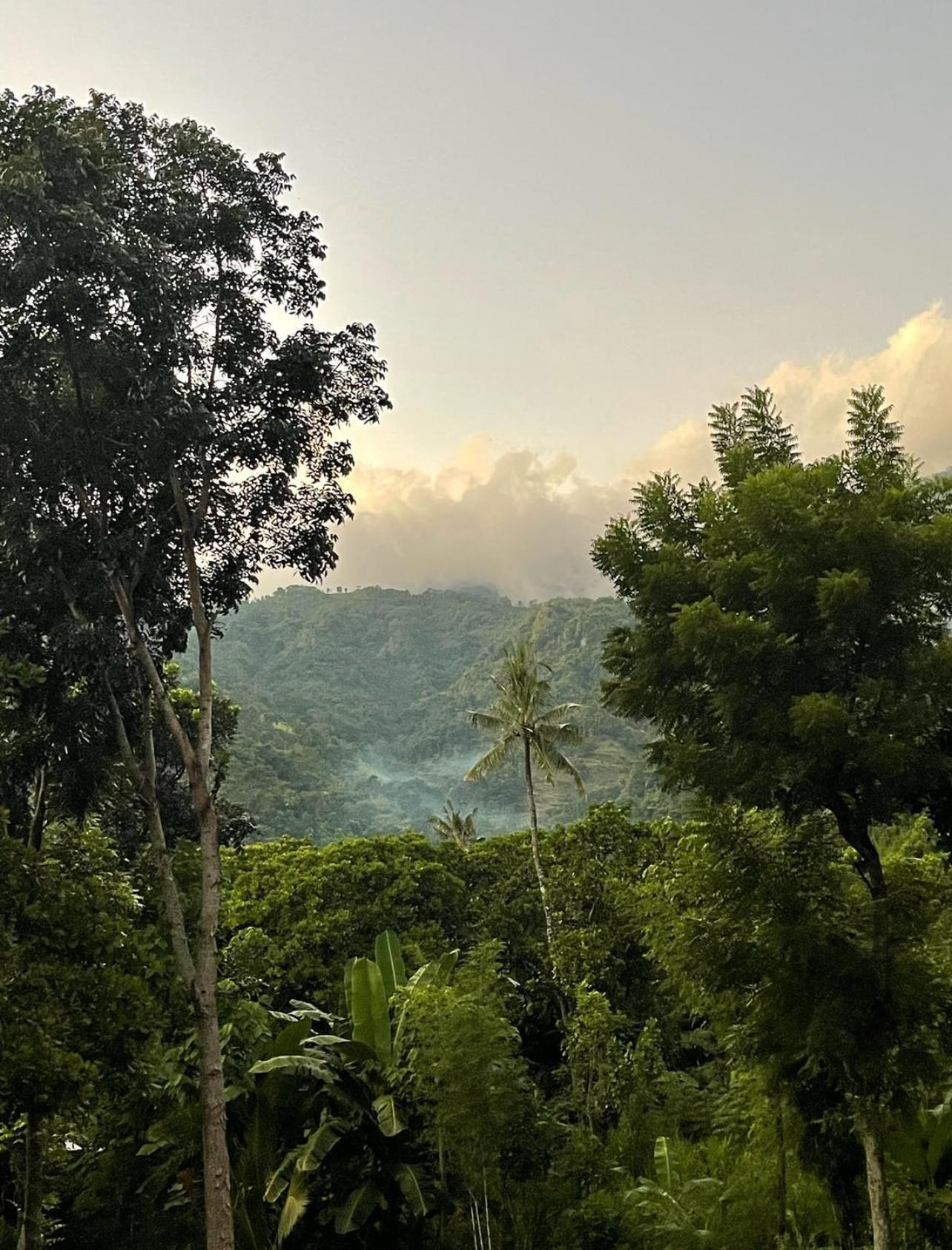 Tropical Habitat Bali Villa อาเม็ด ภายนอก รูปภาพ