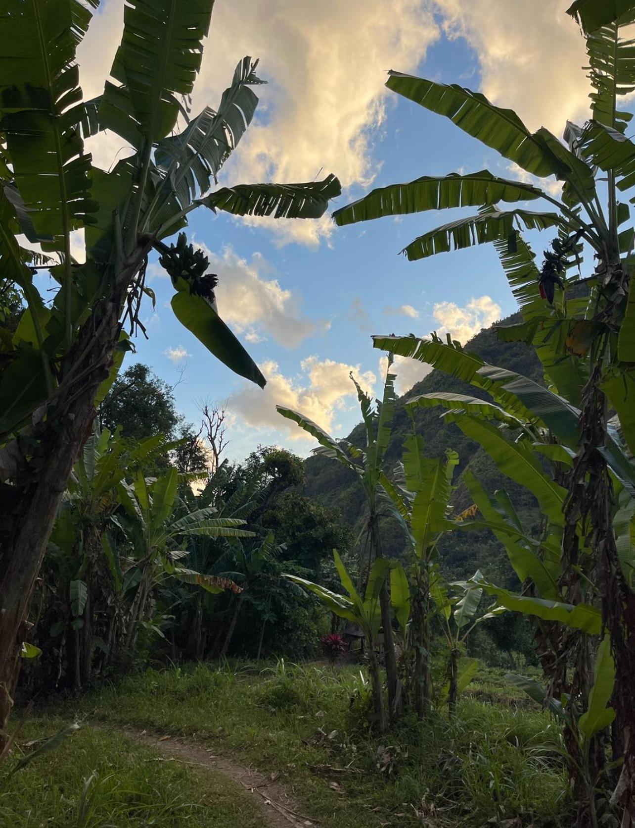 Tropical Habitat Bali Villa อาเม็ด ภายนอก รูปภาพ