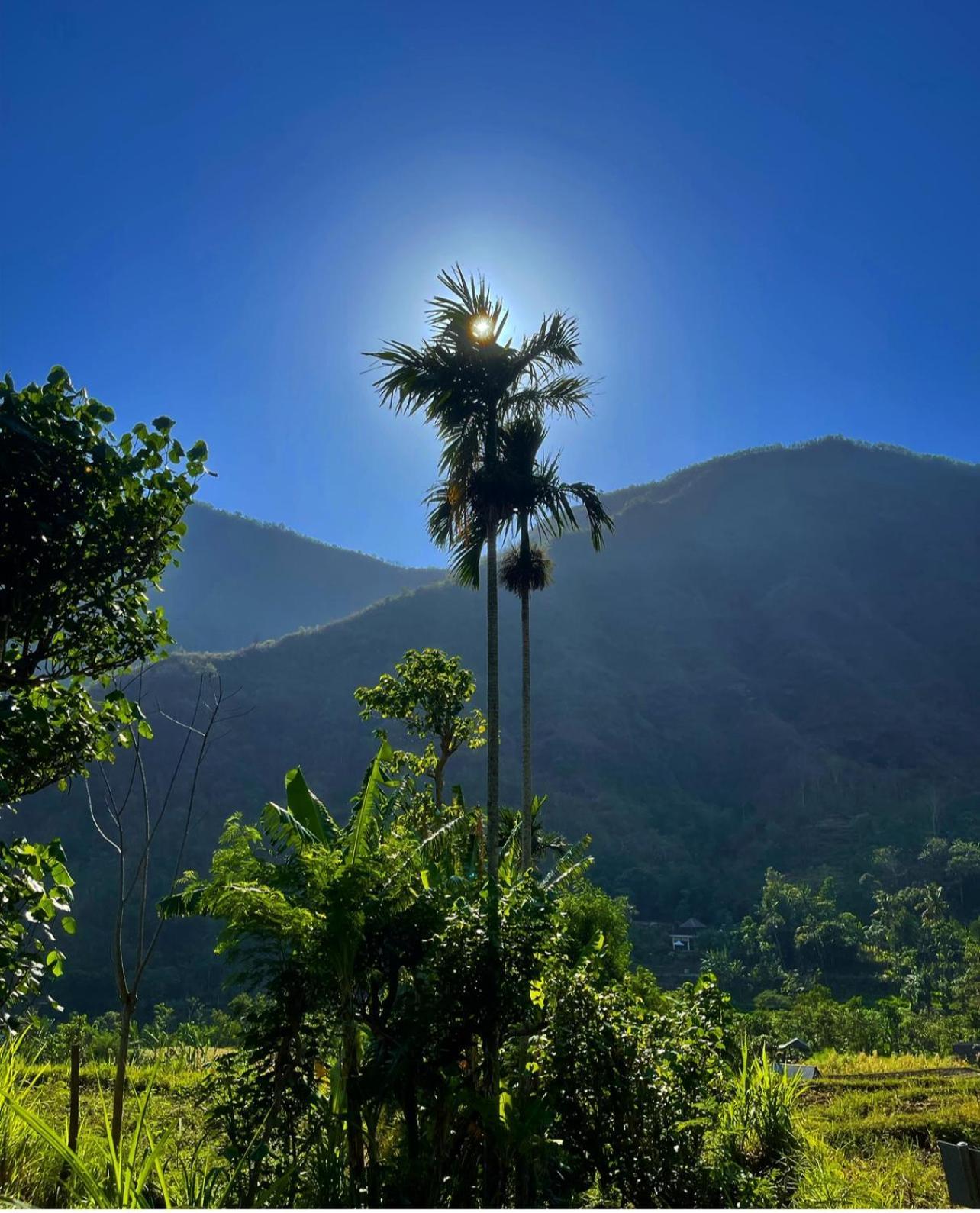 Tropical Habitat Bali Villa อาเม็ด ภายนอก รูปภาพ