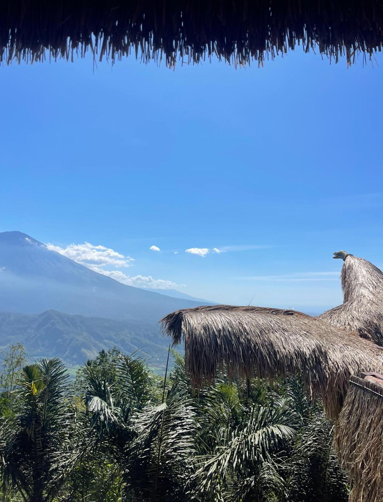 Tropical Habitat Bali Villa อาเม็ด ภายนอก รูปภาพ