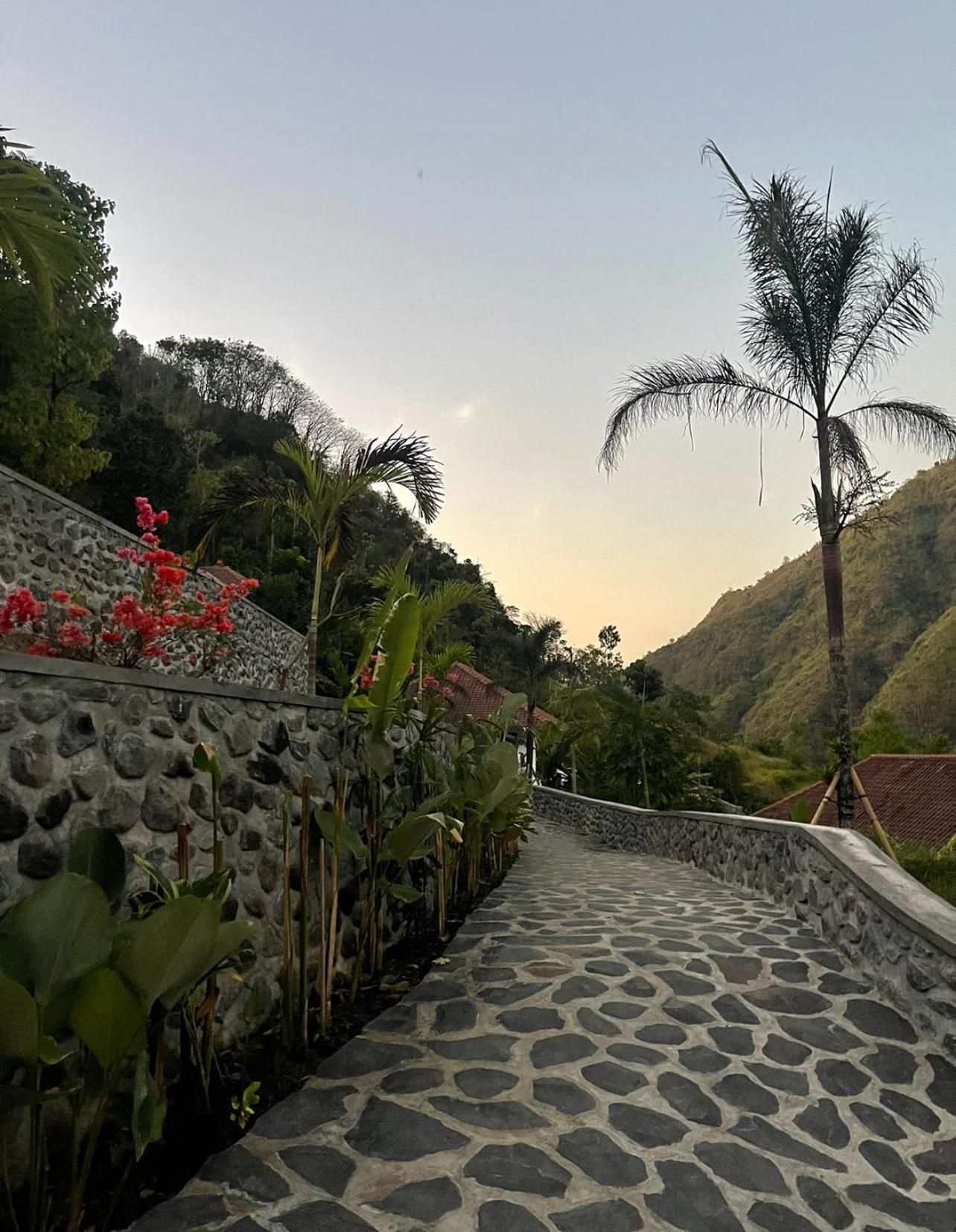 Tropical Habitat Bali Villa อาเม็ด ภายนอก รูปภาพ