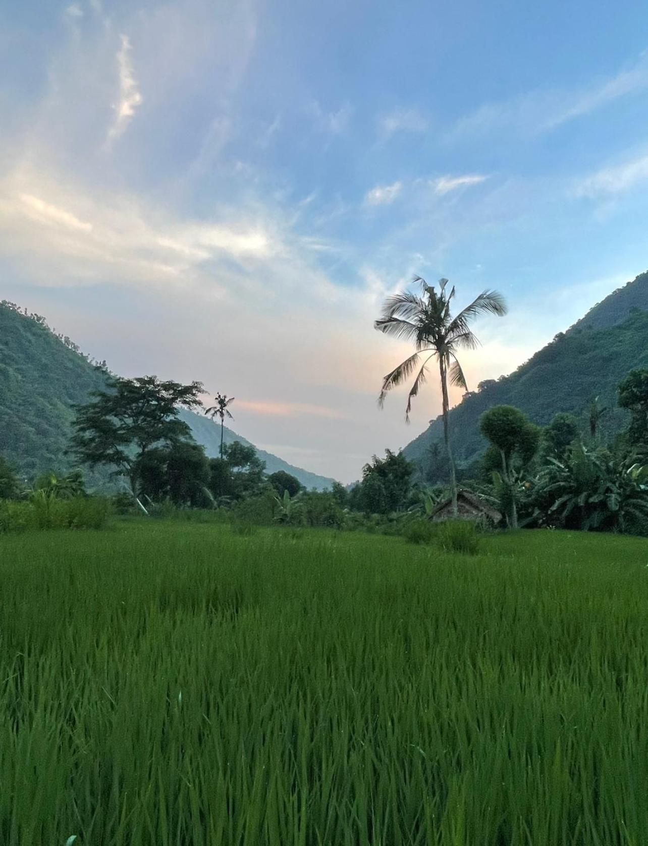Tropical Habitat Bali Villa อาเม็ด ภายนอก รูปภาพ